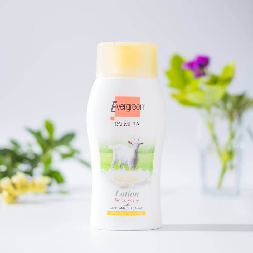 Hand & Body Lotion, Hand & Body Lotion เอเวอร์กรีน พาล์มเมรา 300 ml, Evergreen Hand & Body Lotion เอเวอร์กรีน พาล์มเมรา